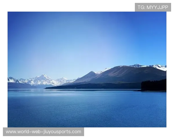 新西兰的节奏感太强，打得干净利落，“新西兰”